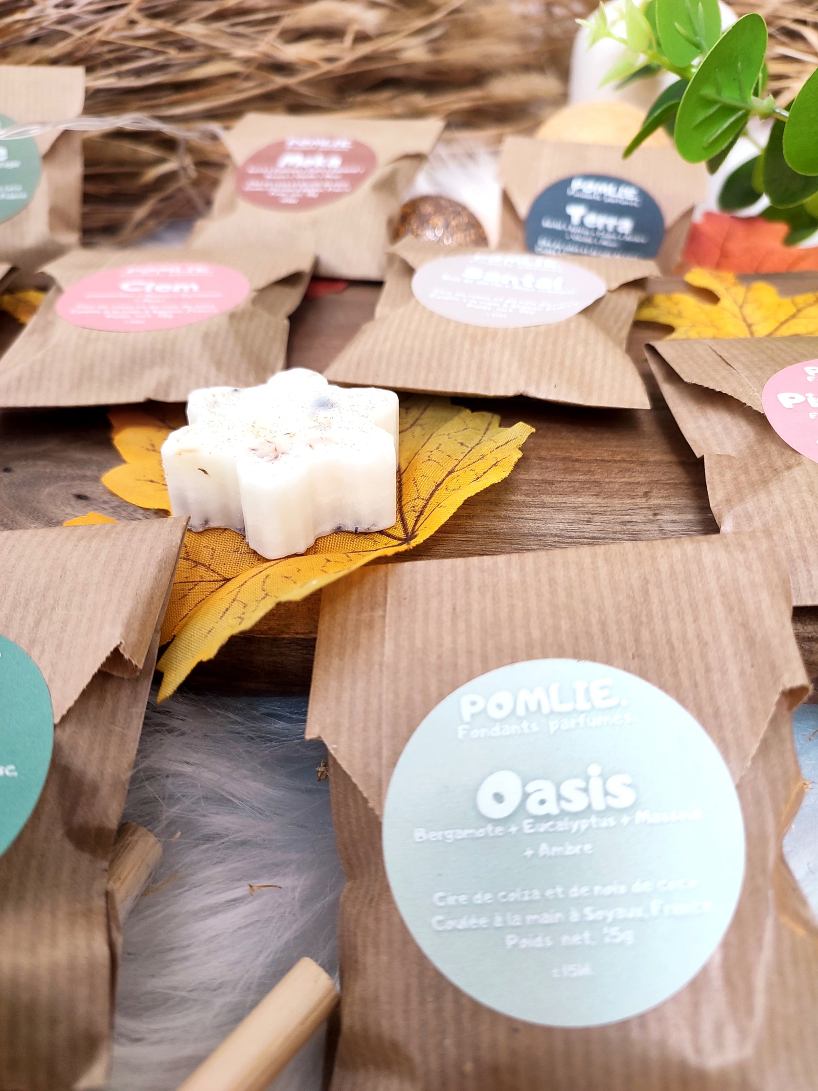 Fondants saisonniers : 8 à 10 parfums à tester